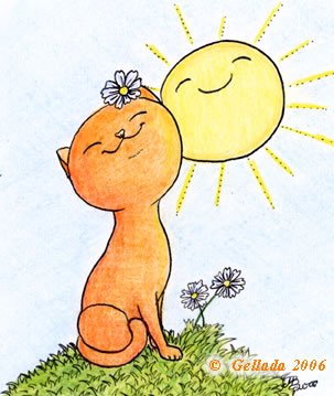 Солнце обнимает