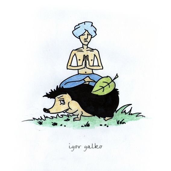 Йог карикатура