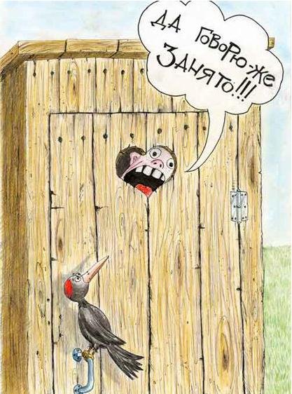 Дятел карикатура