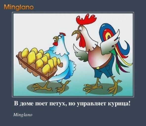 Петухи дерутся на прозрачном фоне