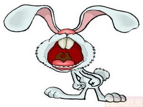 Заяц прикол