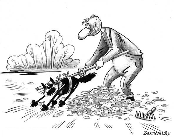 Господин карикатура