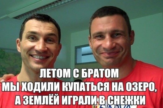 Братья кличко карикатура (48 фото)