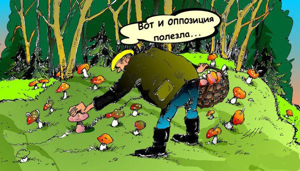 Прикольный грибник