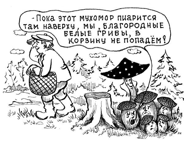 Грибы карикатура