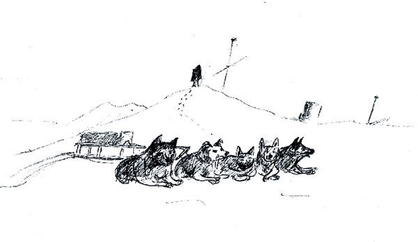 Собачья упряжка