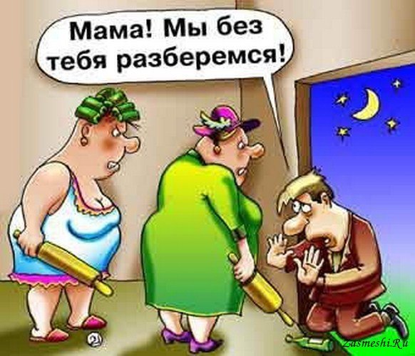 Зять карикатура