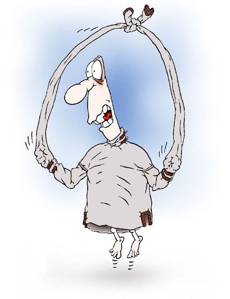 Меринов карикатуры выборы