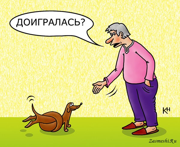 Карикатуры на собачников