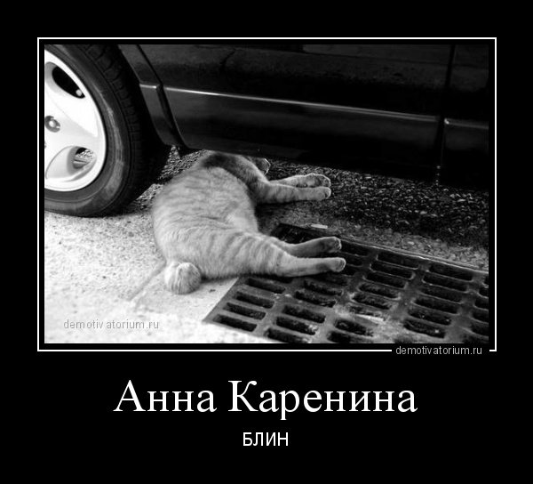 Анна Каренина демотиватор