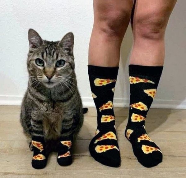 Смешные надписи на носках