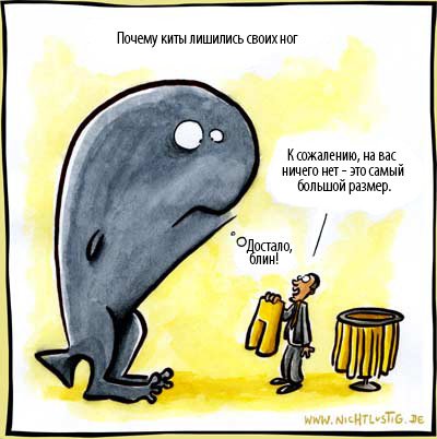 Прикольный кит