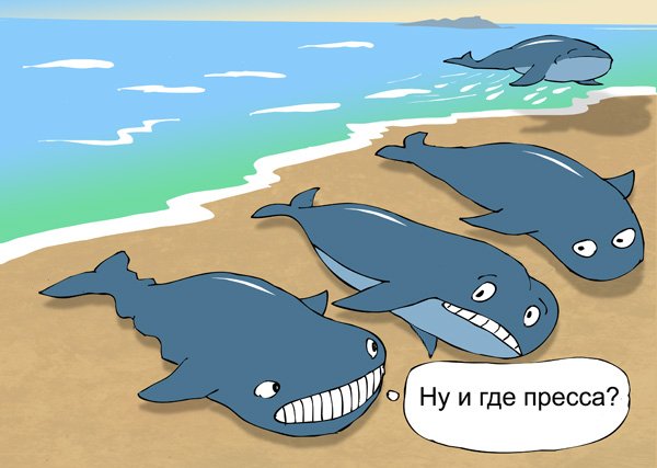 Прикольный кит