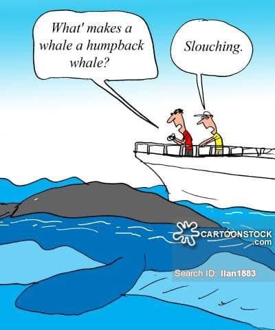 Карикатуры про китов