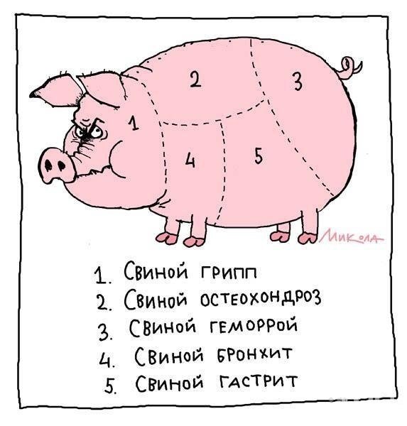 Свиной грипп Винни пух