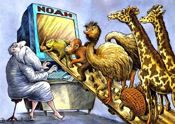 Ной карикатура