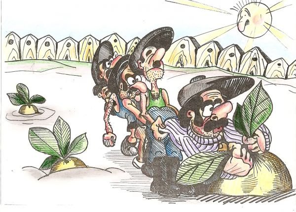 Вокруг Репки карикатура