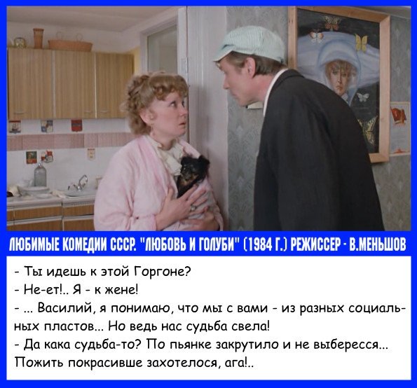 Кадр из фильма любовь и голуби с пивом