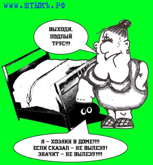 Кто в доме хозяин прикол