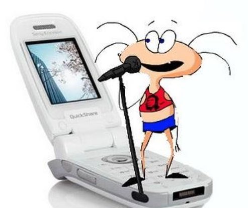 Приколы и мелодии для мобилы