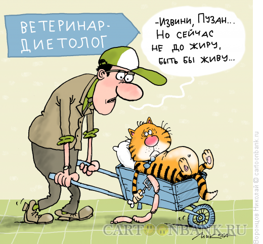 Доходы от директора до рабочего карикатуры