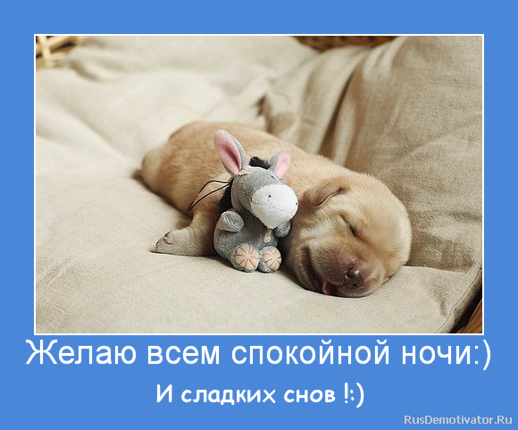 Спокойной ночи сладких снов