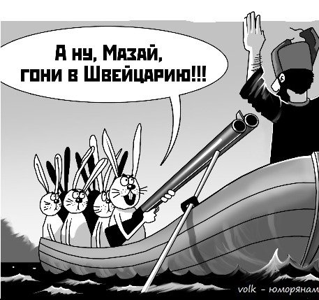 Заяц прикол