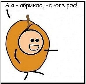Я абрикос