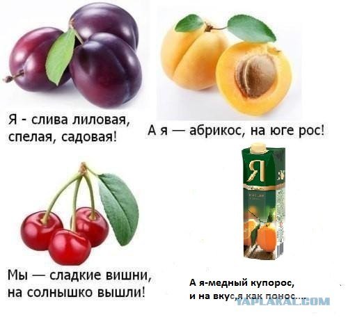 Слива спелая Садовая