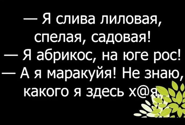 Я абрикос на юге рос карикатура (43 фото)