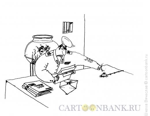 DW карикатуры