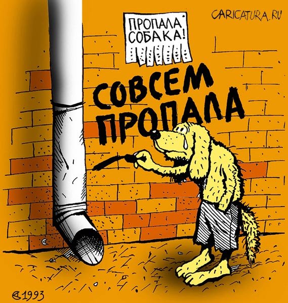 Карикатура пропала собачка