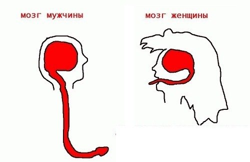 Мысли карикатура
