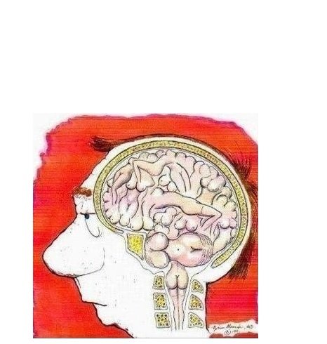 Выносить мозг