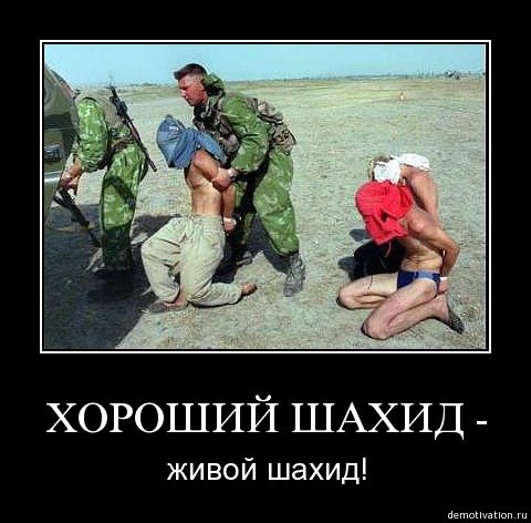 Карикатура шахид (43 фото)