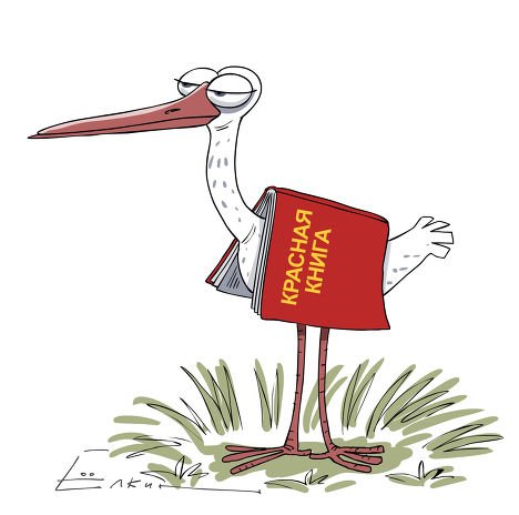 Лягушка душит цаплю