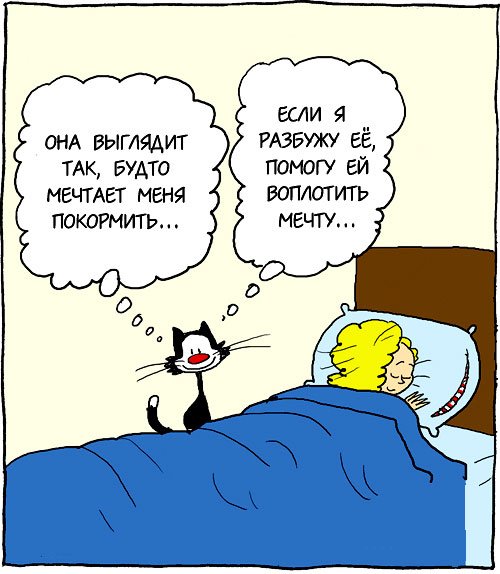 Анекдоты про сон в картинках