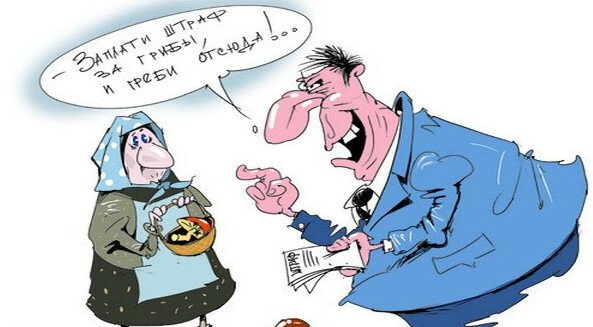 Налог на сбор грибов и ягод карикатуры