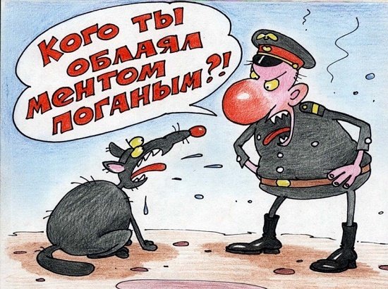 День участкового карикатура