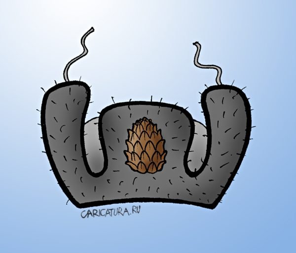 Шапка ушанка карикатура