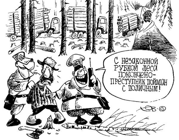 Карикатура дрова