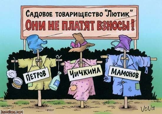 Собрание садоводов карикатура