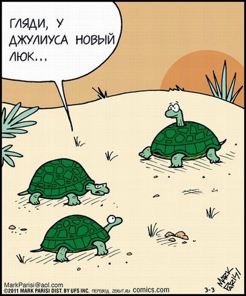 Анекдот про черепаху