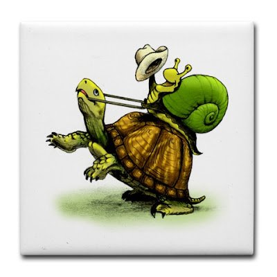 Черепаха обогнала зайца