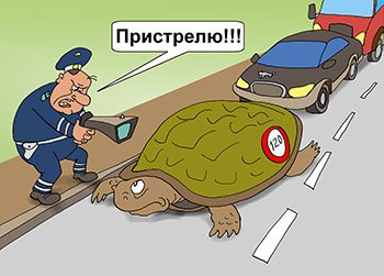 Смешная черепашка вектор