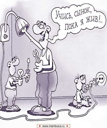 Папа карикатура