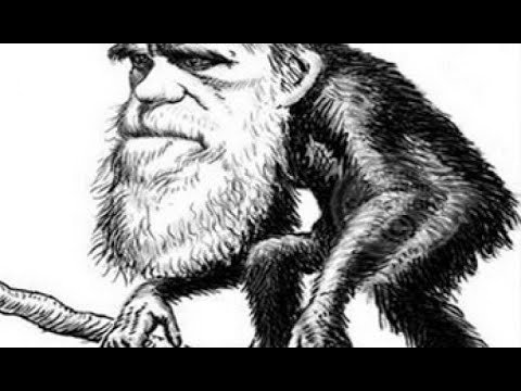 Чарльз Дарвин теория эволюции карикатуры