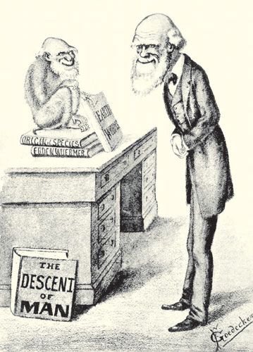 Чарльз Дарвин мультяшный