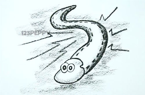 Электрический угорь вектор