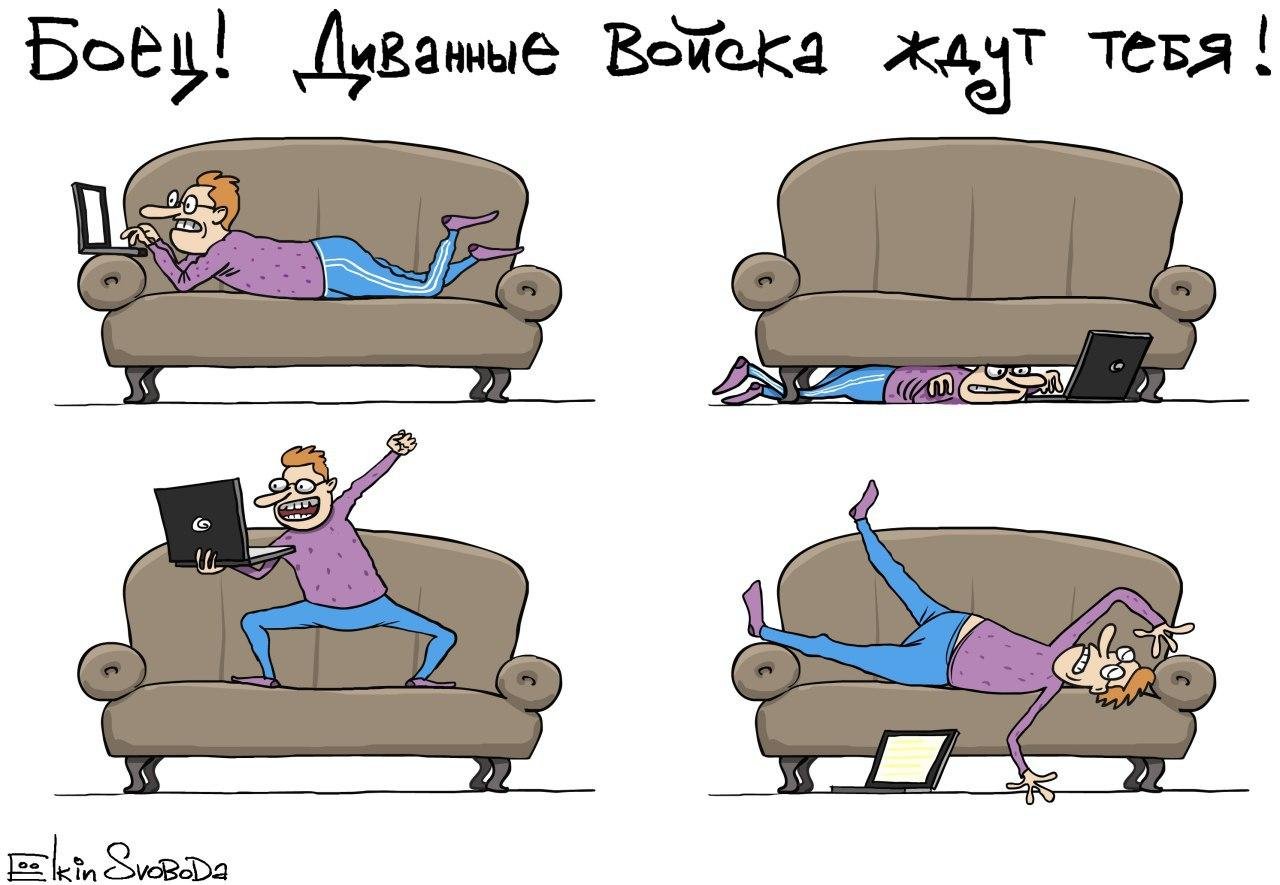 Карикатуры про диванных экспертов